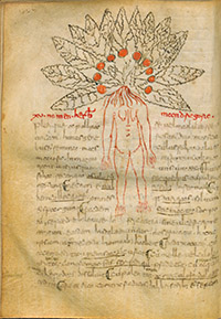 Miscellanea di scritti medici e farmaceutici (sec. IX). Firenze, Biblioteca Medicea Laurenziana, Pl. 73.41, c. 93v 