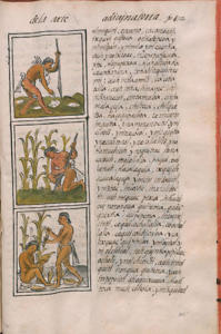Med. Palat. 218, c. 315r