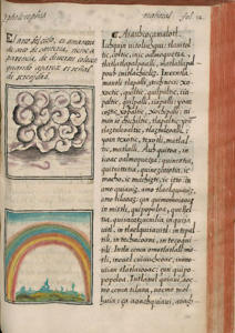 Med. Palat. 219, c. 238r