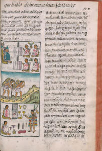 Med. Palat. 219, c. 316r