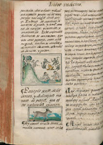 Med. Palat. 220, c. 169v