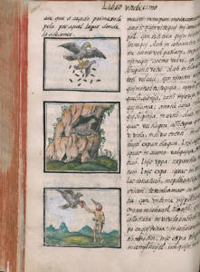 Med. Palat. 220, c. 199v
