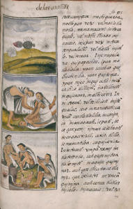 Med. Palat. 220, c. 245r
